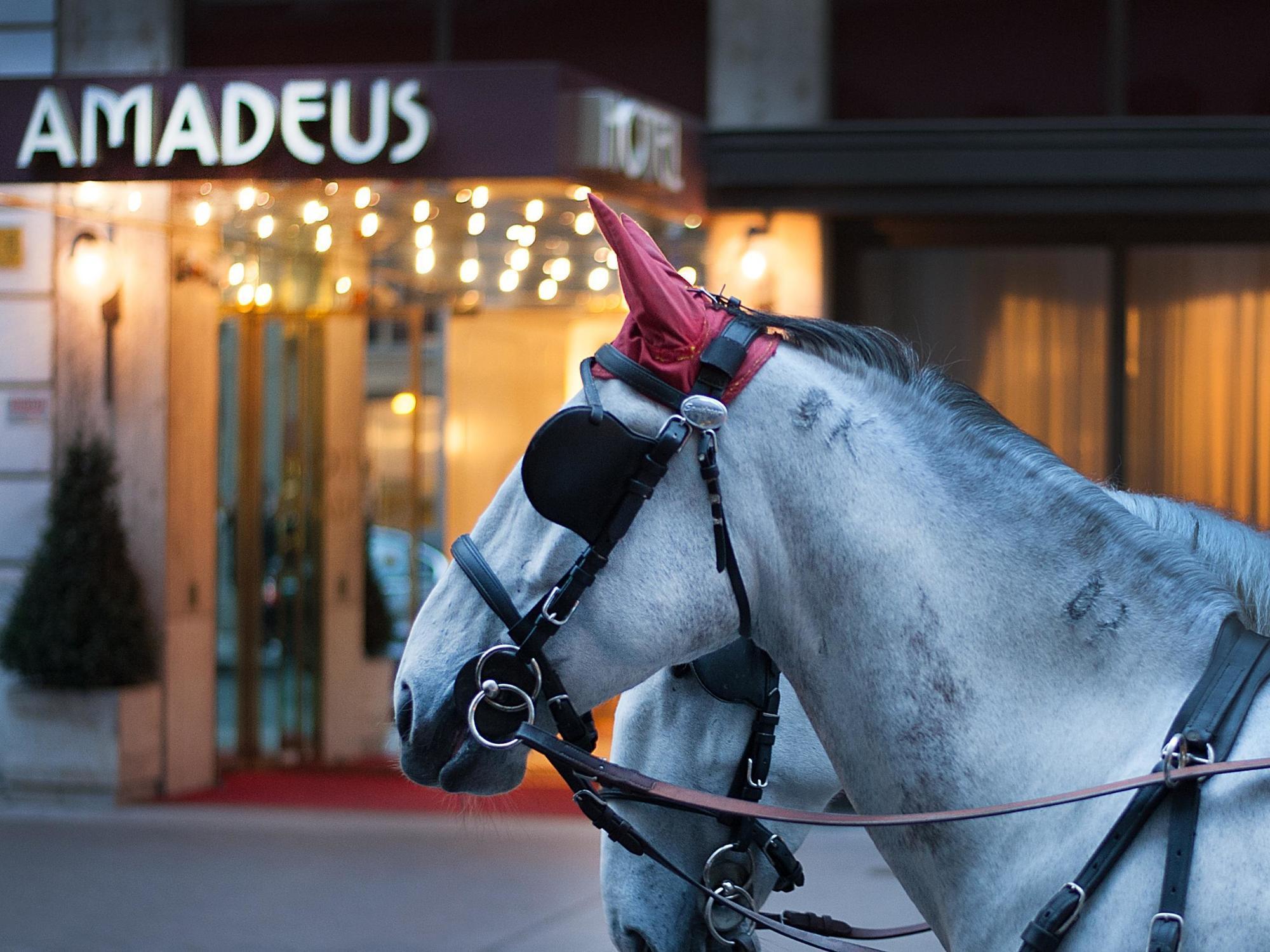 Arthotel Ana Amadeus Hotel